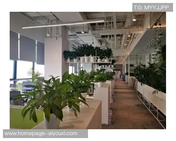 北京极限运动队区域防守分析及其在比赛中的得失表现探讨