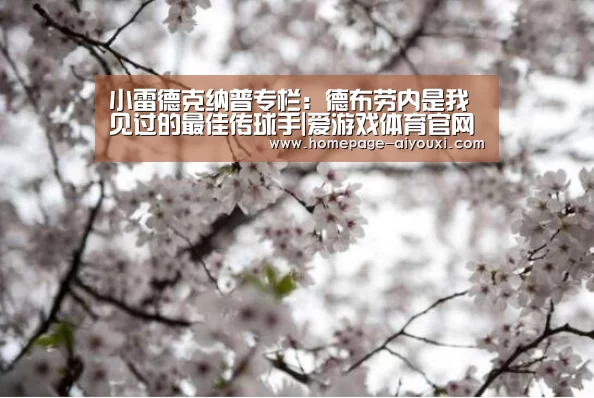 小雷德克纳普专栏:德布劳内是我见过的最佳传球手|爱游戏体育官网(图2) 爱游戏app